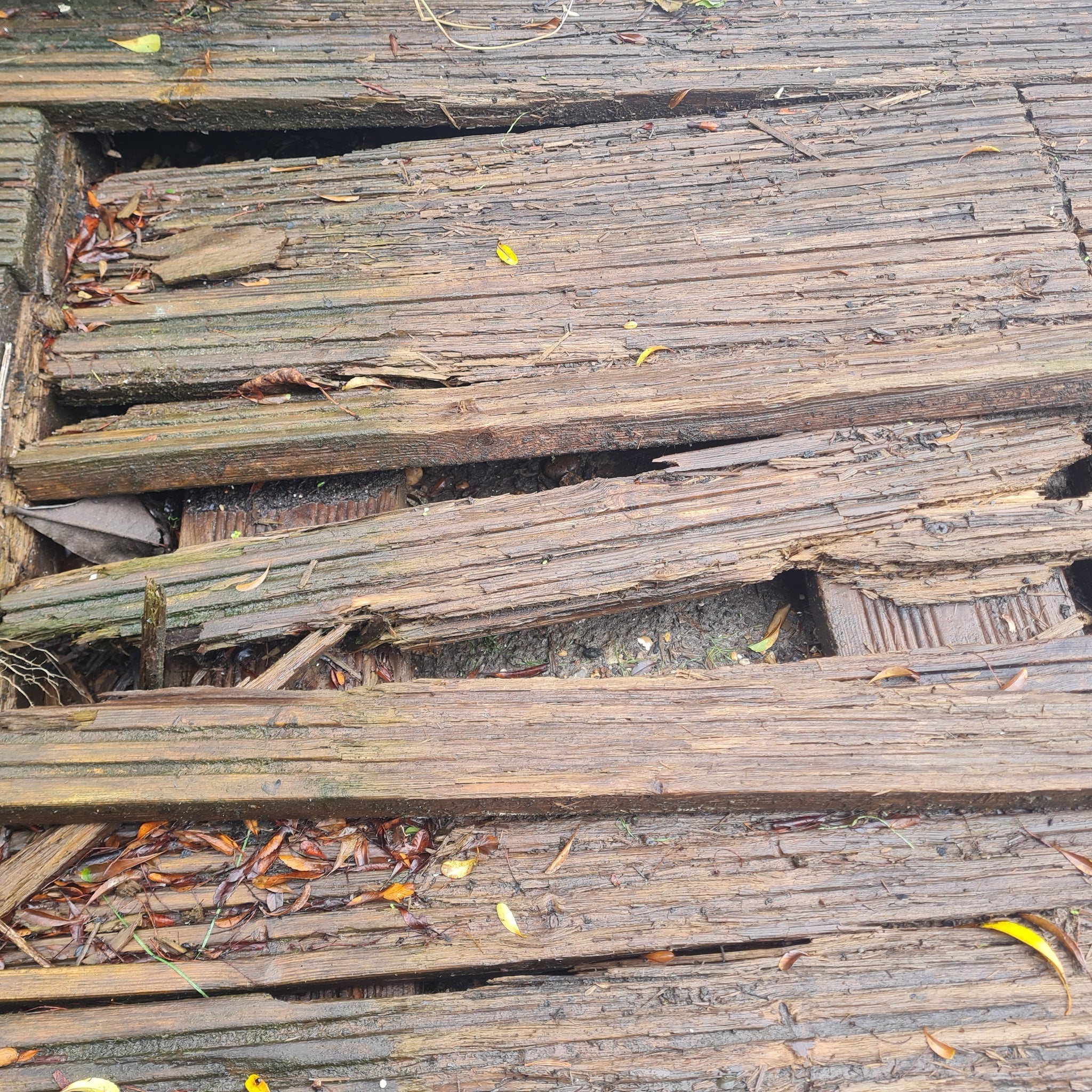 5 Signs You Need to Replace Your Wooden Deck